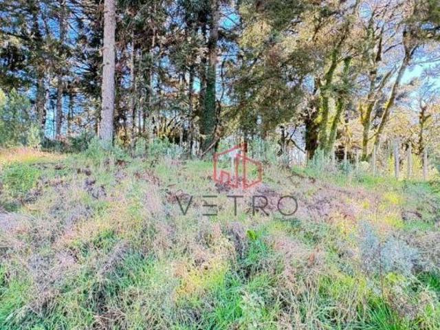 Terreno venda em Região Geográfica Imediata de Caxias do Sul, Canela