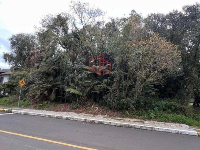 Terreno venda em Canela