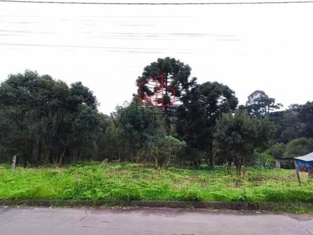 Terreno venda em Canela