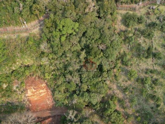 Terreno venda em Canela