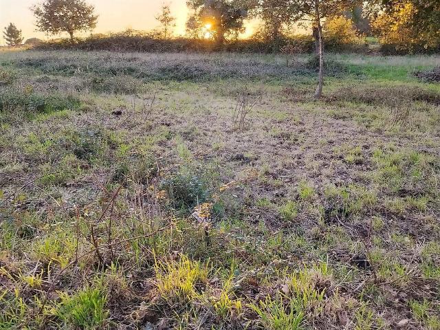 Terreno venda em Canelas e Fermelã, Estarreja