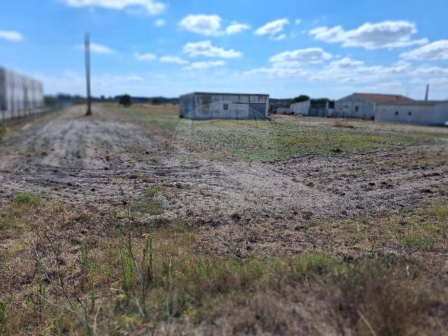Terreno venda em Canha, Montijo