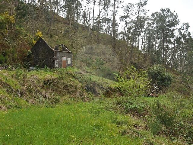 Terreno venda em Lombo da Piedade, Ponta do Sol
