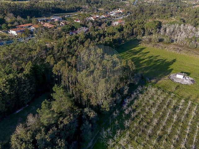 Terreno venda em Portunhos e Outil, Cantanhede