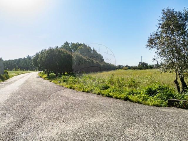 Terreno venda em Cantanhede, Coimbra