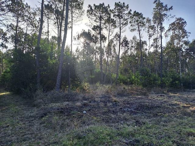 Terreno venda em Cantanhede, Coimbra