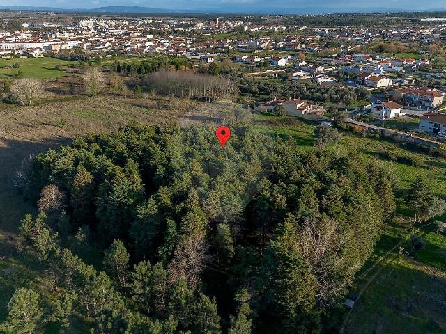 Terreno venda em Cantanhede, Coimbra