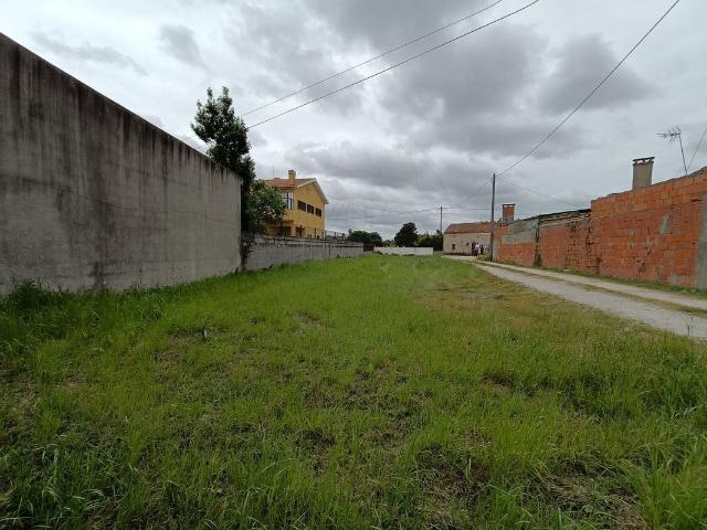 Terreno venda em Cantanhede, Coimbra