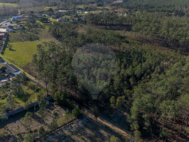 Terreno venda em Cantanhede, Coimbra