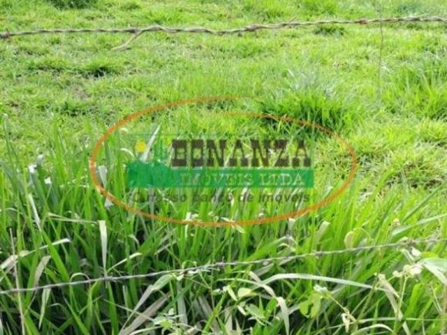 Terreno venda em Região Geográfica Imediata de Caratinga, Caratinga