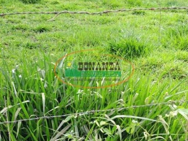 Terreno venda em Região Geográfica Imediata de Caratinga, Caratinga