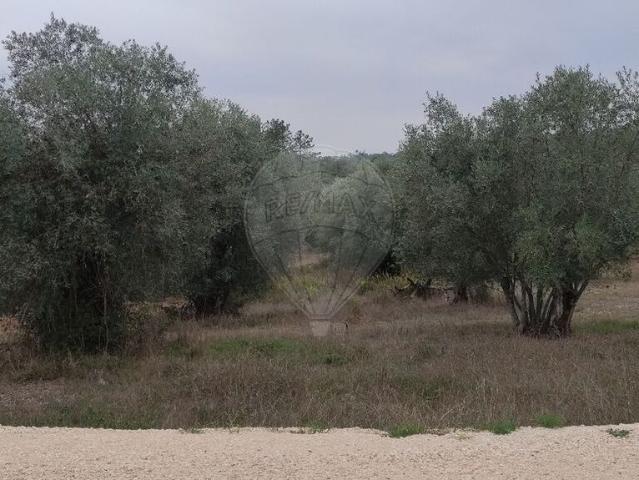 Terreno venda em Pombal, Vila Cã