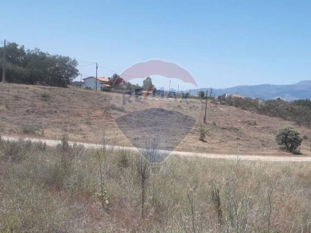 Terreno venda em Castelo Branco, Caria