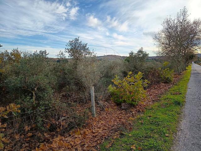 Terreno venda em Caria, Belmonte