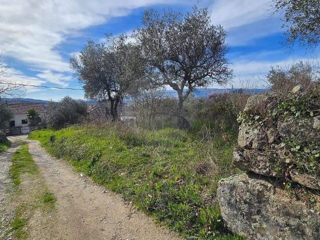 Terreno venda em Caria, Belmonte
