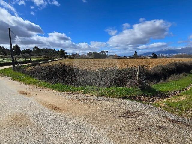 Terreno venda em Caria, Belmonte