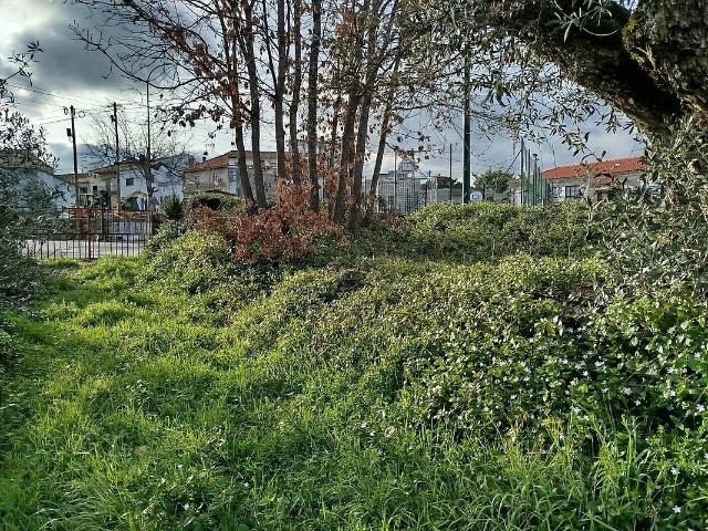 Terreno venda em Inguias, Belmonte