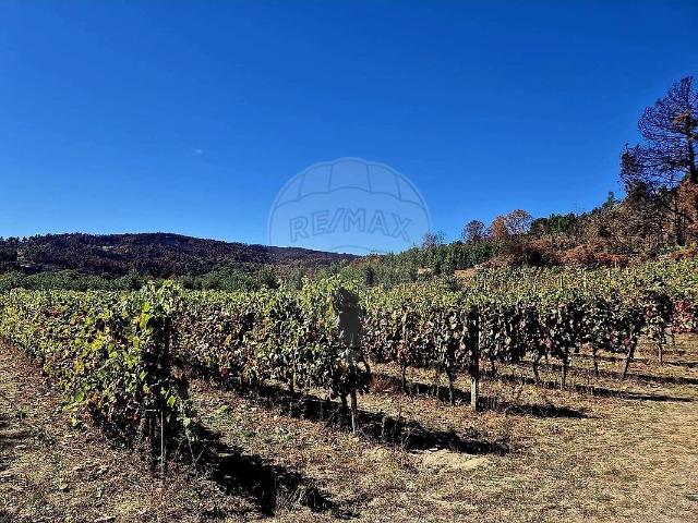 Terreno venda em Caria, Moimenta da Beira