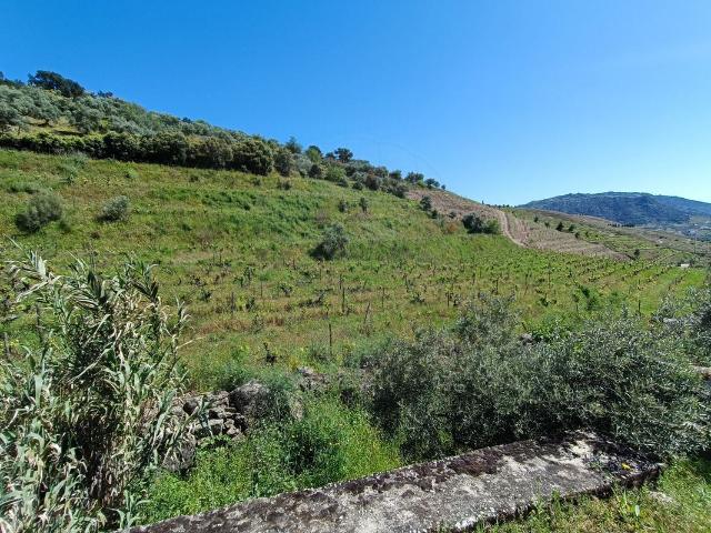 Terreno venda em Carrazeda De Ansiães, Bragança