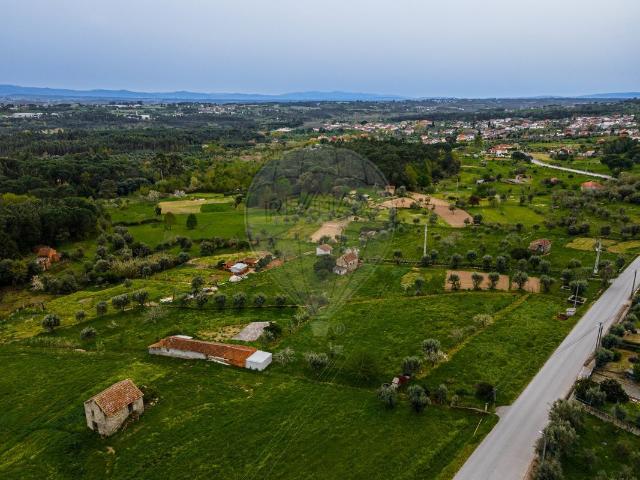 Terreno venda em Carregal Do Sal, Viseu
