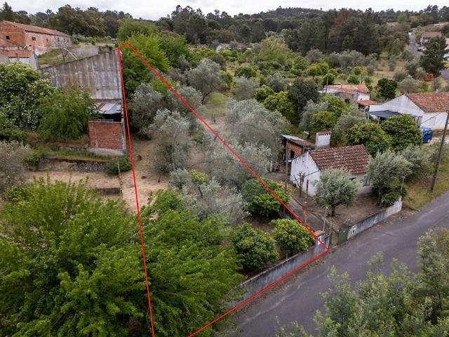 Terreno venda em Carregueira, Chamusca