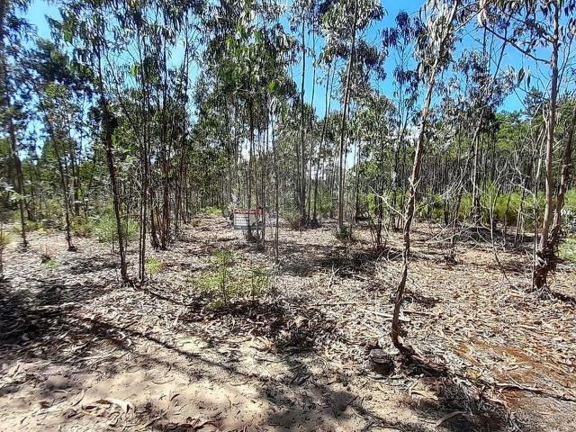 Terreno venda em Carriço, Pombal