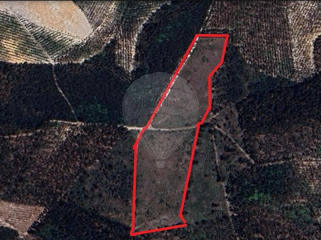 Terreno venda em Carriço, Pombal