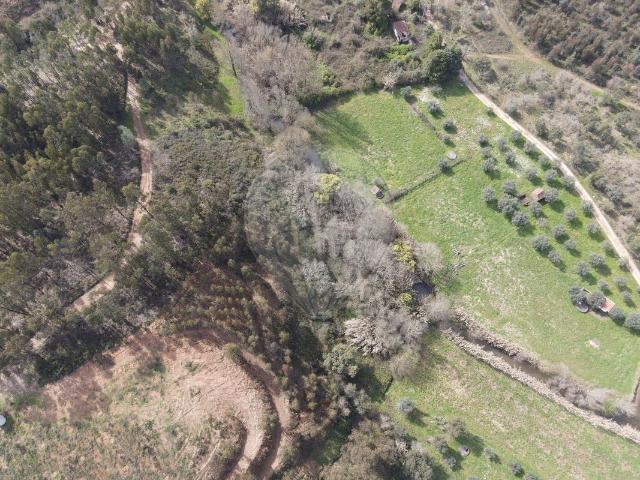 Terreno venda em Chão das Maias, Tomar