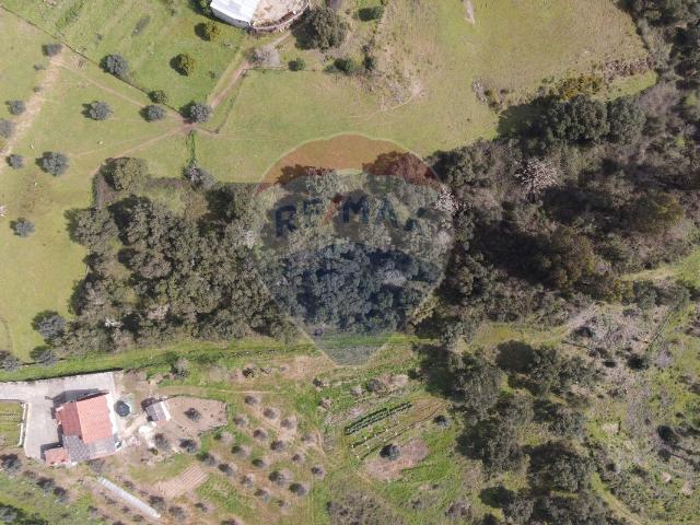 Terreno venda em Chão das Maias, Tomar