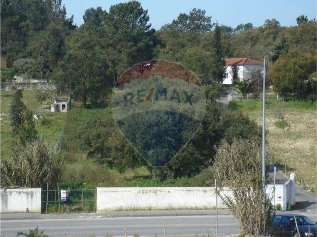 Terreno venda em Cartaxo e Vale da Pinta, Cartaxo