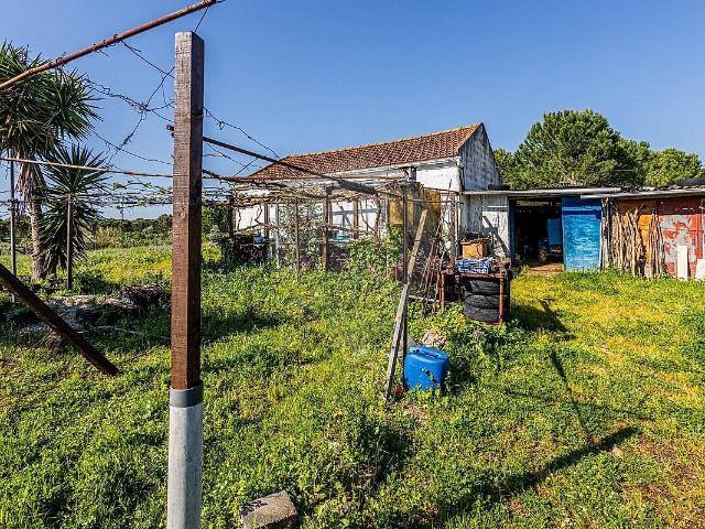 Terreno venda em Cartaxo e Vale da Pinta, Cartaxo