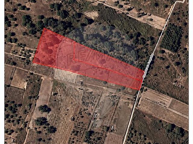 Terreno venda em Cartaxo e Vale da Pinta, Cartaxo