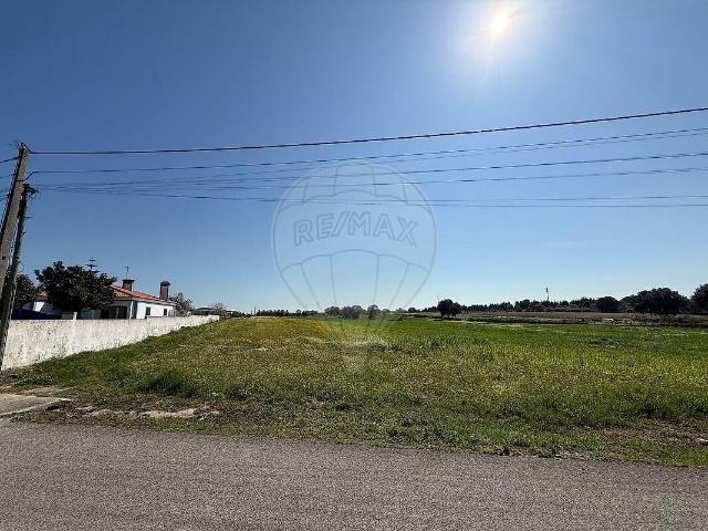 Terreno venda em Ribeira do Cartaxo, Cartaxo