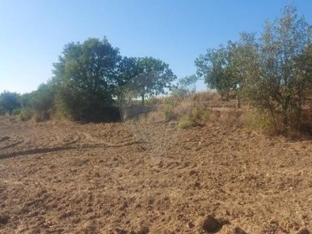 Terreno venda em Carvalhal, Abrantes