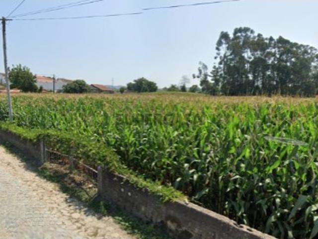 Terreno venda em Arcozelo, Braga