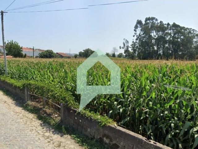 Terreno venda em Carvalhal, Arcozelo