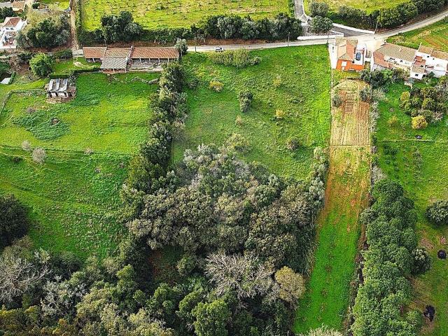 Terreno venda em Carvalhal, Bombarral