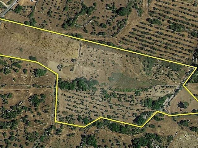 Terreno venda em Carvalhal Redondo e Aguieira, Nelas