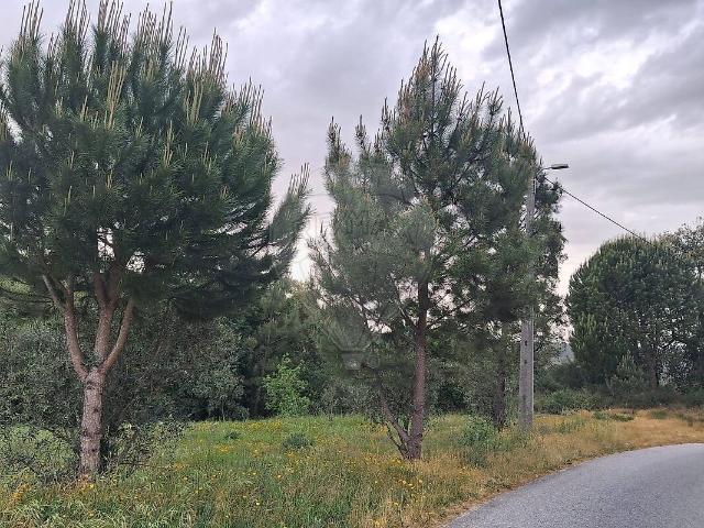 Terreno venda em Carvalhal Redondo e Aguieira, Nelas