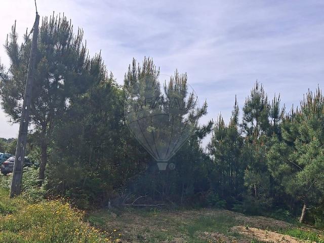 Terreno venda em Carvalhal Redondo e Aguieira, Nelas