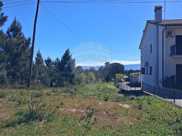 Terreno venda em Carvalhal Redondo e Aguieira, Nelas