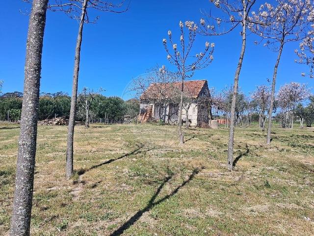 Terreno venda em Carvalhal Redondo e Aguieira, Nelas