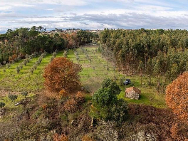 Terreno venda em Carvalhal Redondo e Aguieira, Nelas