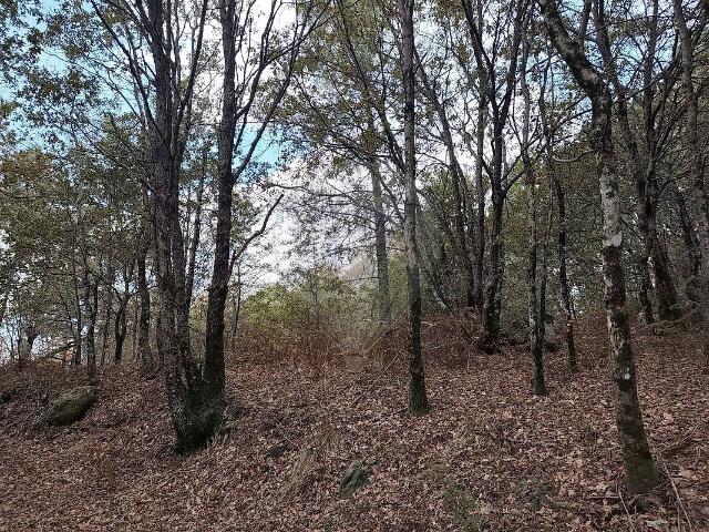 Terreno venda em Britelo, Gémeos e Ourilhe, Celorico de Basto