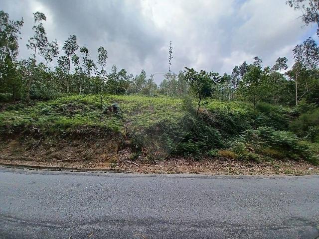 Terreno venda em Fontão, Carvalhosa
