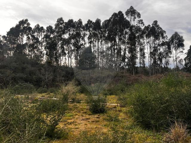 Terreno venda em Aldosinde, Carvalhosa