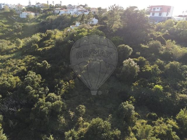 Terreno venda em Baleia, Mafra