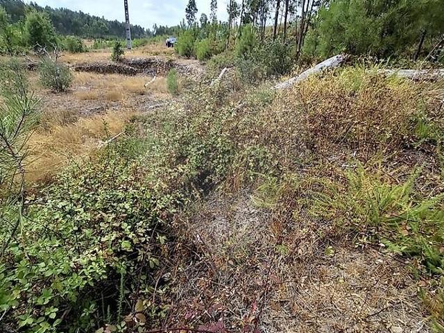 Terreno venda em Carvoeiro, Mação