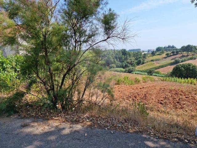 Terreno venda em Casal da Lavandeira, Bombarral