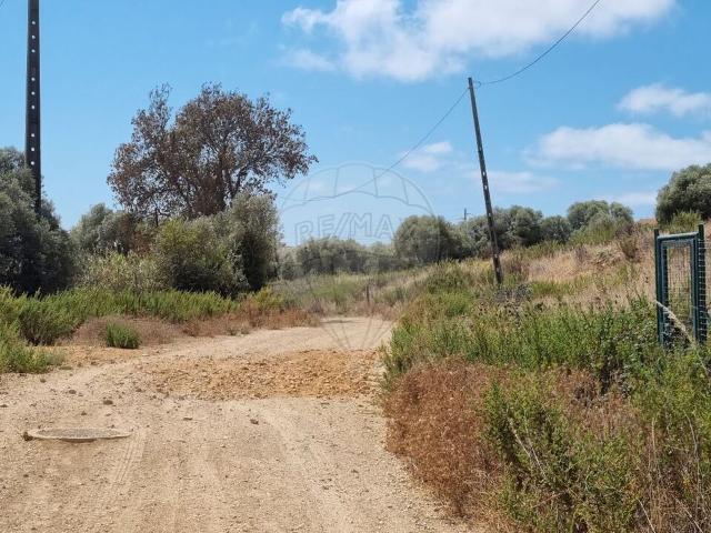 Terreno venda em Quinta de São Martinho, Cascais